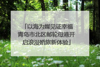 以海为媒见证幸福 青岛市北区邮轮母港开启浪漫婚旅新体验