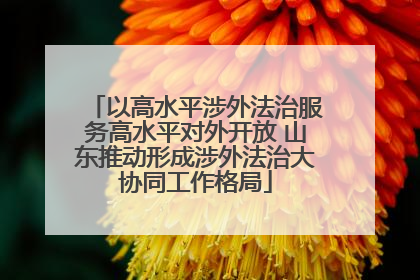 以高水平涉外法治服务高水平对外开放 山东推动形成涉外法治大协同工作格局