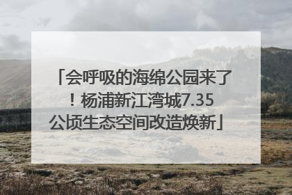 会呼吸的海绵公园来了！杨浦新江湾城7.35公顷生态空间改造焕新