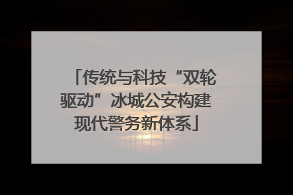 传统与科技“双轮驱动”冰城公安构建现代警务新体系