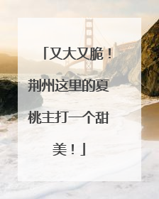 又大又脆！荆州这里的夏桃主打一个甜美！