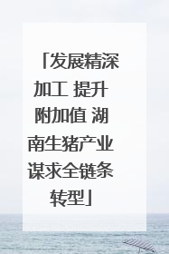发展精深加工 提升附加值 湖南生猪产业谋求全链条转型