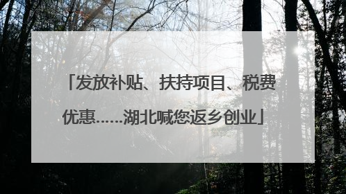 发放补贴、扶持项目、税费优惠……湖北喊您返乡创业