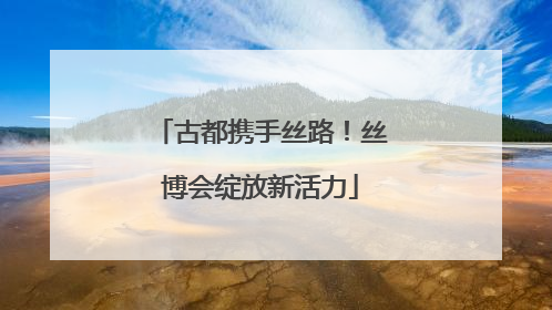古都携手丝路！丝博会绽放新活力