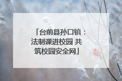 台前县孙口镇：法制课进校园 共筑校园安全网