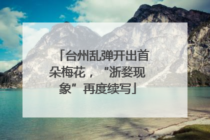 台州乱弹开出首朵梅花，“浙婺现象”再度续写