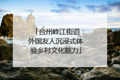 台州峰江街道：外国友人沉浸式体验乡村文化魅力