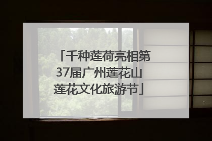 千种莲荷亮相第37届广州莲花山莲花文化旅游节