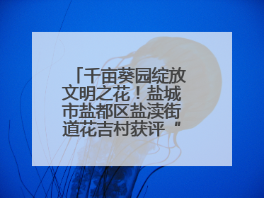 千亩葵园绽放文明之花！盐城市盐都区盐渎街道花吉村获评“全国文明村”
