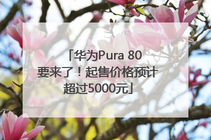 华为Pura 80要来了！起售价格预计超过5000元