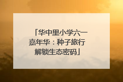 华中里小学六一嘉年华：种子旅行解锁生态密码