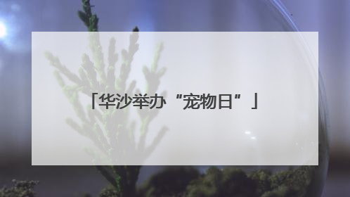 华沙举办“宠物日”