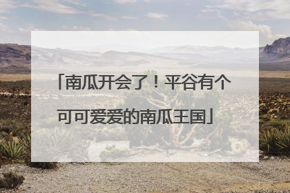 南瓜开会了！平谷有个可可爱爱的南瓜王国