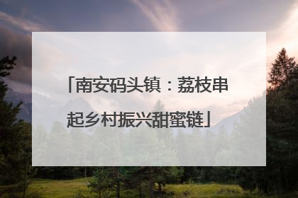 南安码头镇：荔枝串起乡村振兴甜蜜链