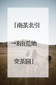南茶北引→8亩荒地变茶园