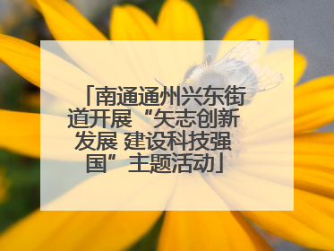 南通通州兴东街道开展“矢志创新发展 建设科技强国”主题活动