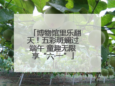 博物馆里乐翻天！五彩斑斓过端午 童趣无限享“六·一”