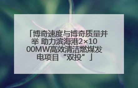 博奇速度与博奇质量并举 助力滨海港2×1000MW高效清洁燃煤发电项目“双投”