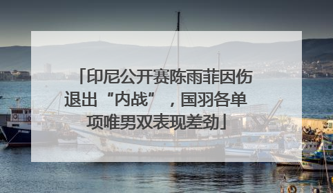 印尼公开赛陈雨菲因伤退出“内战”，国羽各单项唯男双表现差劲