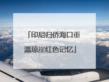 印尼归侨海口重温琼崖红色记忆