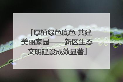厚植绿色底色 共建美丽家园——新区生态文明建设成效显著