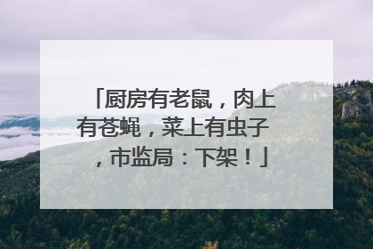 厨房有老鼠，肉上有苍蝇，菜上有虫子，市监局：下架！