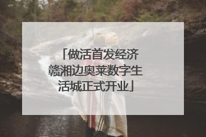 做活首发经济 赣湘边奥莱数字生活城正式开业