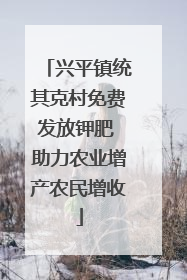 兴平镇统其克村免费发放钾肥 助力农业增产农民增收