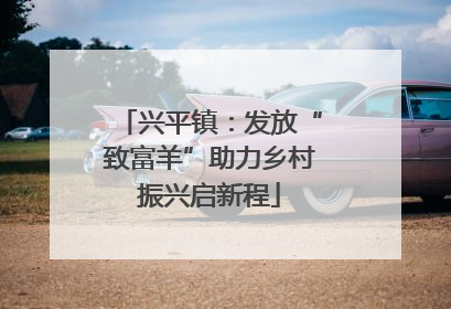 兴平镇：发放“致富羊”助力乡村振兴启新程