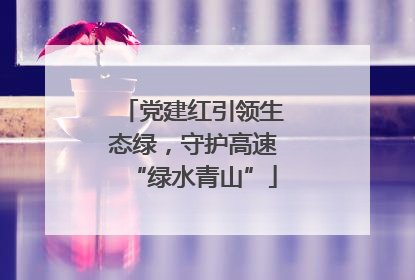 党建红引领生态绿，守护高速“绿水青山”