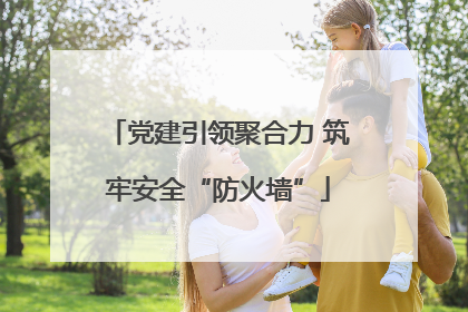 党建引领聚合力 筑牢安全“防火墙”