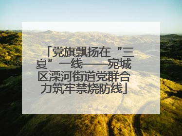 党旗飘扬在“三夏”一线——宛城区溧河街道党群合力筑牢禁烧防线