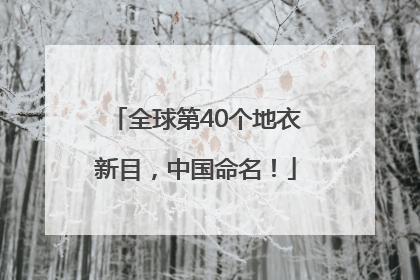 全球第40个地衣新目，中国命名！