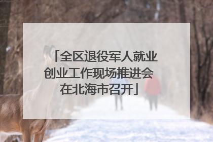 全区退役军人就业创业工作现场推进会在北海市召开