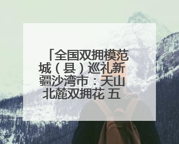 全国双拥模范城（县）巡礼新疆沙湾市：天山北麓双拥花 五届蝉联铸辉煌