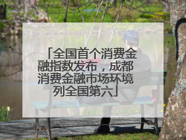 全国首个消费金融指数发布，成都消费金融市场环境列全国第六
