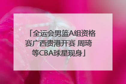 全运会男篮A组资格赛广西贵港开赛 周琦等CBA球星现身