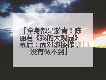 全身都是淤青！陈丽君《我的大观园》幕后：面对滚楼梯，没有做不到