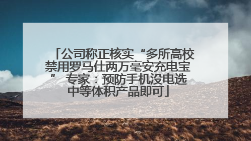 公司称正核实“多所高校禁用罗马仕两万毫安充电宝” 专家：预防手机没电选中等体积产品即可