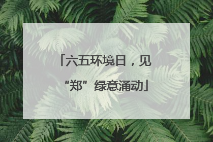 六五环境日，见“郑”绿意涌动