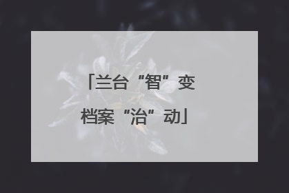 兰台“智”变 档案“治”动
