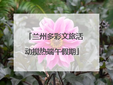 兰州多彩文旅活动搅热端午假期