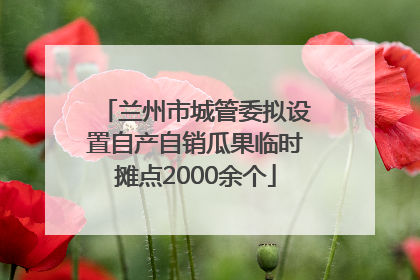 兰州市城管委拟设置自产自销瓜果临时摊点2000余个