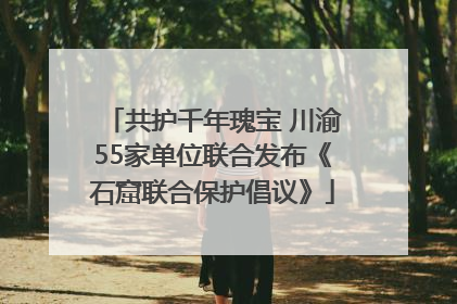 共护千年瑰宝 川渝55家单位联合发布《石窟联合保护倡议》