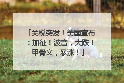 关税突发！美国宣布：加征！波音，大跌！甲骨文，暴涨！
