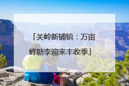 关岭新铺镇：万亩蜂糖李迎来丰收季