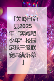 关岭自治县2025年“奔跑吧少年”校园足球三级联赛圆满落幕