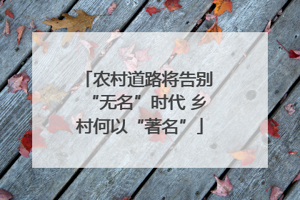农村道路将告别“无名”时代 乡村何以“著名”
