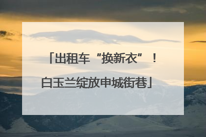 出租车“换新衣”！白玉兰绽放申城街巷