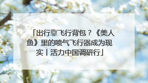 出行靠飞行背包？《美人鱼》里的喷气飞行器成为现实丨活力中国调研行